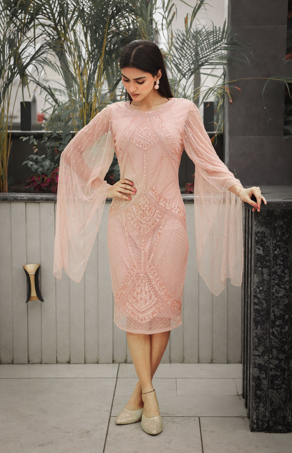 Blush Embellished Dress with Sheer Sleeves