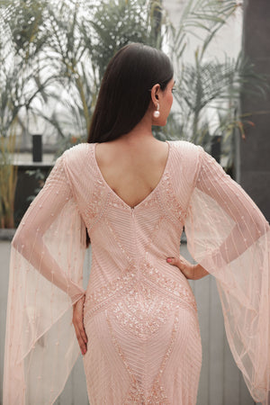 Blush Embellished Dress with Sheer Sleeves