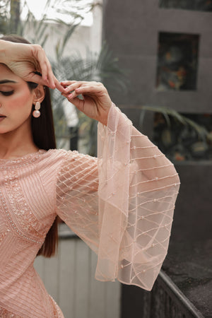 Blush Embellished Dress with Sheer Sleeves