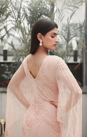 Blush Embellished Dress with Sheer Sleeves