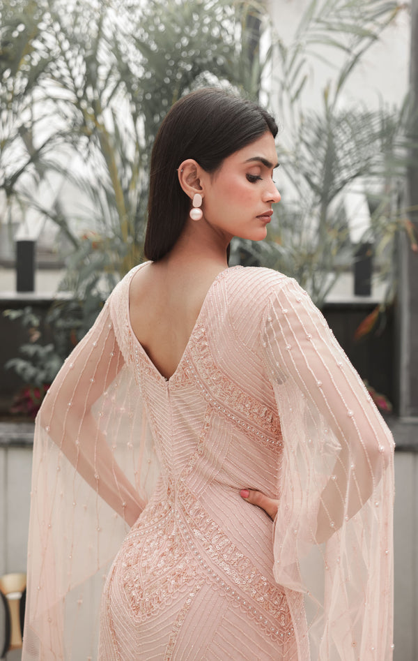 Blush Embellished Dress with Sheer Sleeves