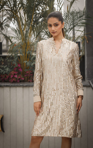 Champagne Sequin Embellished Dress