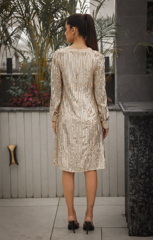 Champagne Sequin Embellished Dress