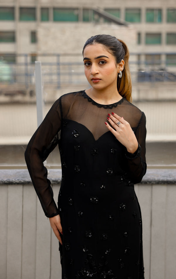 Black Sheer Overlay Dress