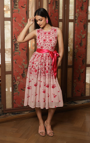 Blush Pink Dress with Pink Floral Embroidery