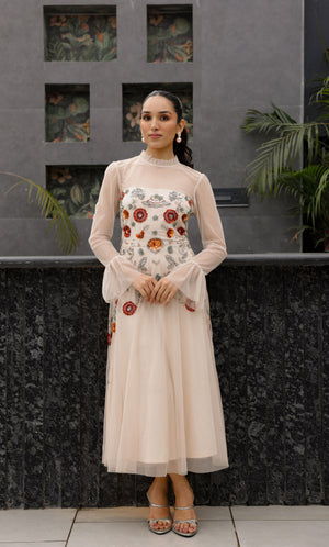 Soft Nude Embroidered Dress